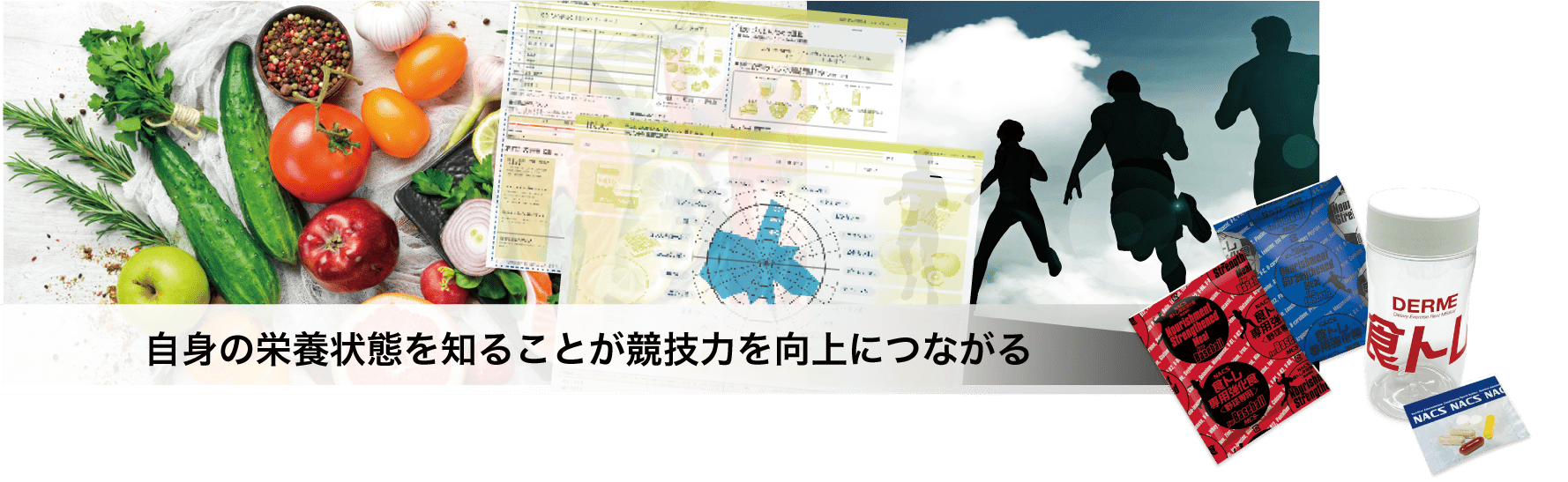 自身の栄養状態を知ることが競技力を向上につながる